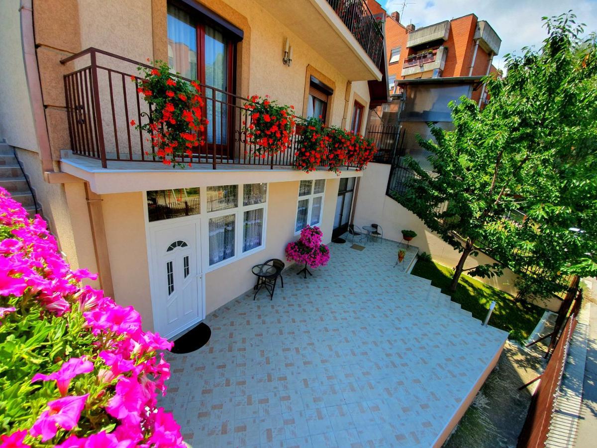 Nilena Apartmani Smederevo Exteriér fotografie