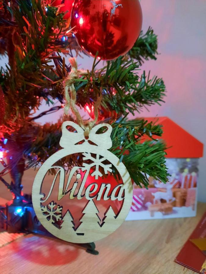 Nilena Apartmani Smederevo Exteriér fotografie